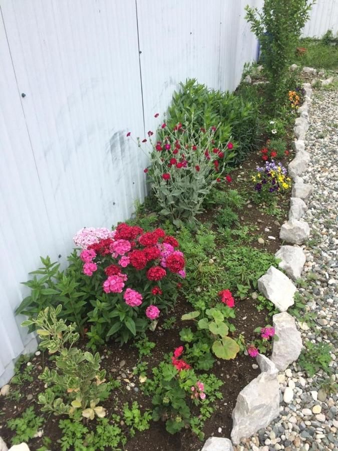 Гостевой дом Георгий Пицунда-13