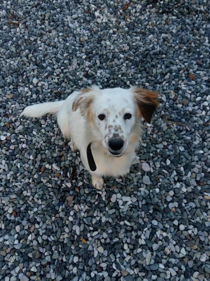 Гостевой дом Георгий Пицунда-18