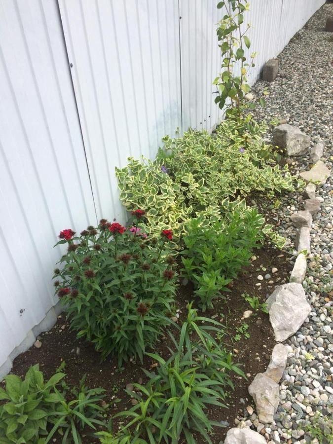 Гостевой дом Георгий Пицунда-12